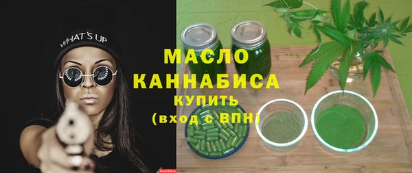 крисы Бородино